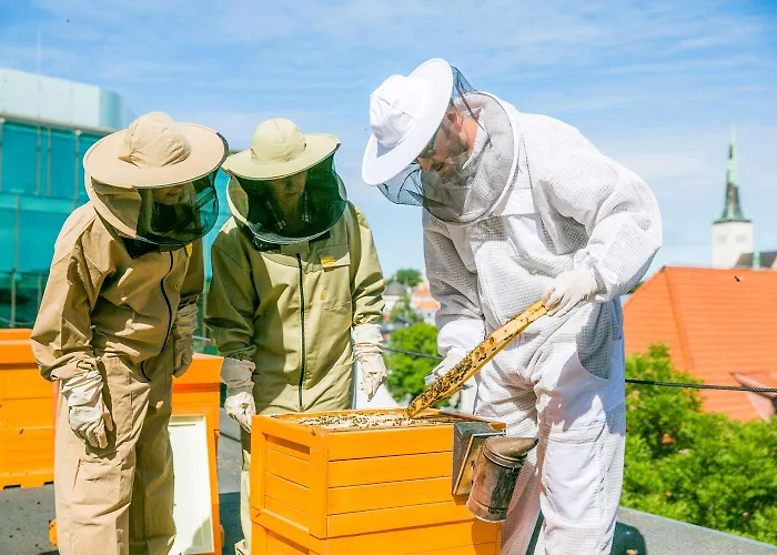 Szálloda Nordic Forum 4*